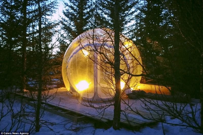 Отель в Исландии: "мыльные пузыри" с видом на звезды Отель, интересное, исландия, исландия фото, лес, необычные отели, туризм, туристу на заметку
