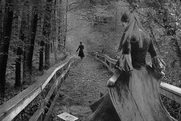 интересное, факты, сновидения, сон