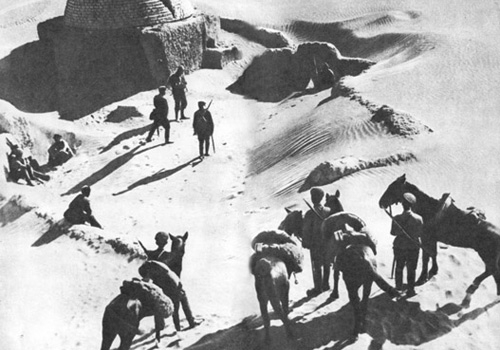 ��� �������� � ���� ������ ������� ��������, ����, ������