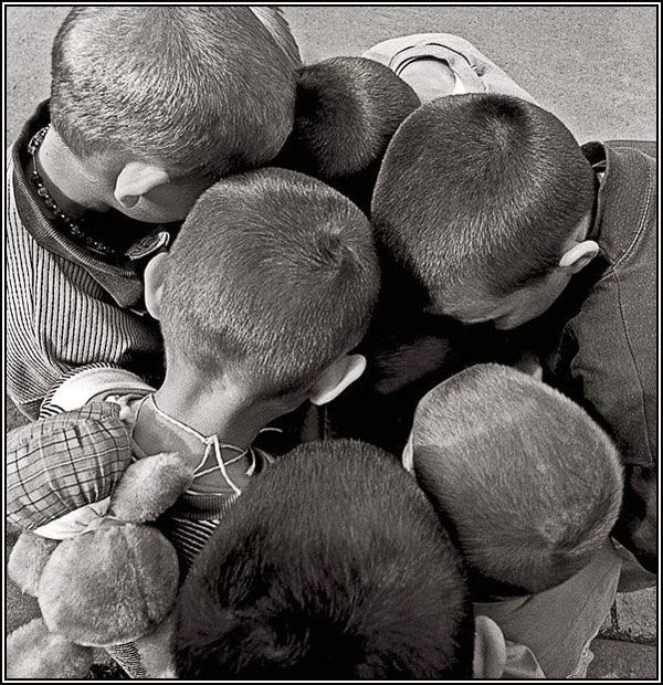 интересное, прикольные и смешные, про жизнь