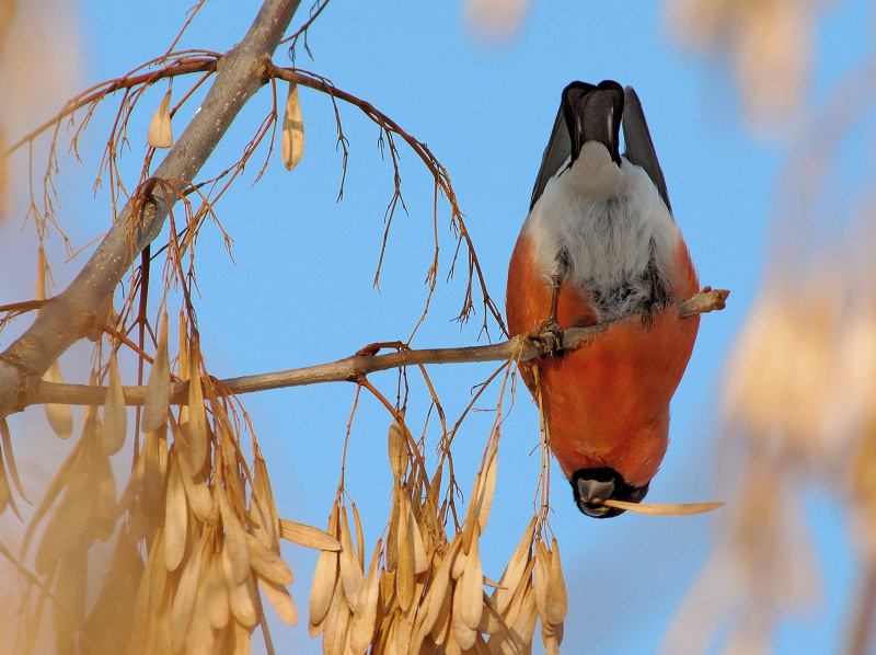 �� ������� �������...