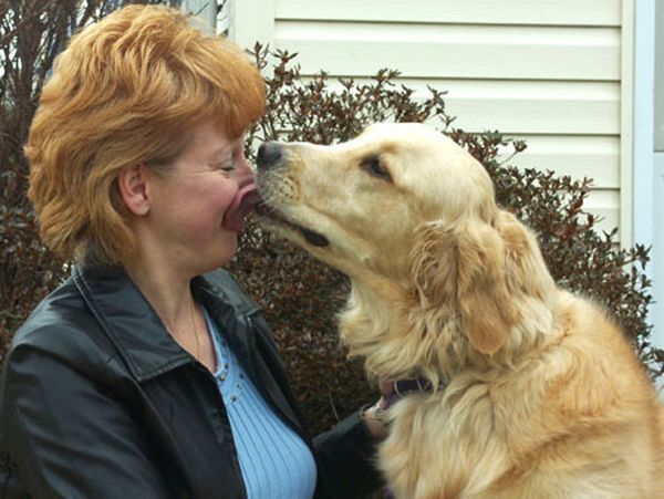 животные, героизм