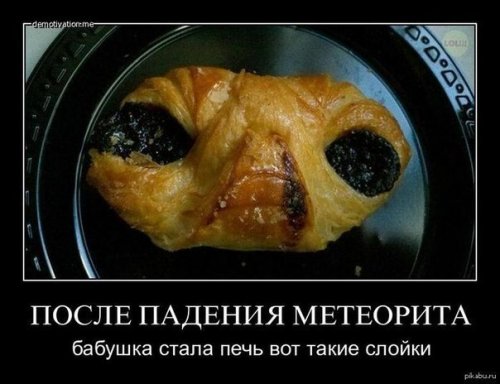 Взялся бы за ум, но времени нет — еле успеваю глупости делать