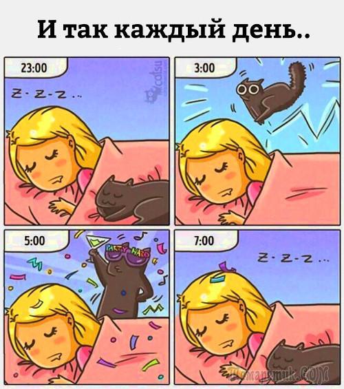 Мир глазами кота