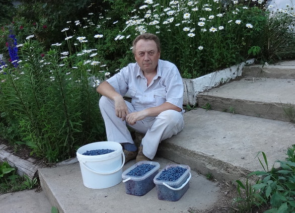 Самый удивительный огород. Такого ты точно никогда не видел… Самый удивительный огород. Такого ты точно никогда не видел…