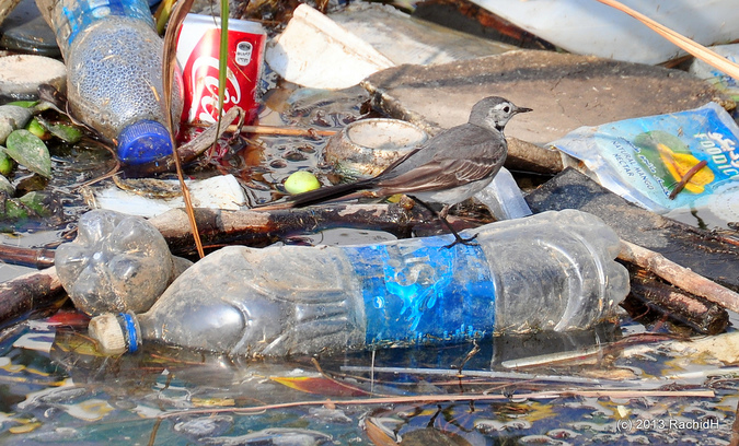 вред пластика