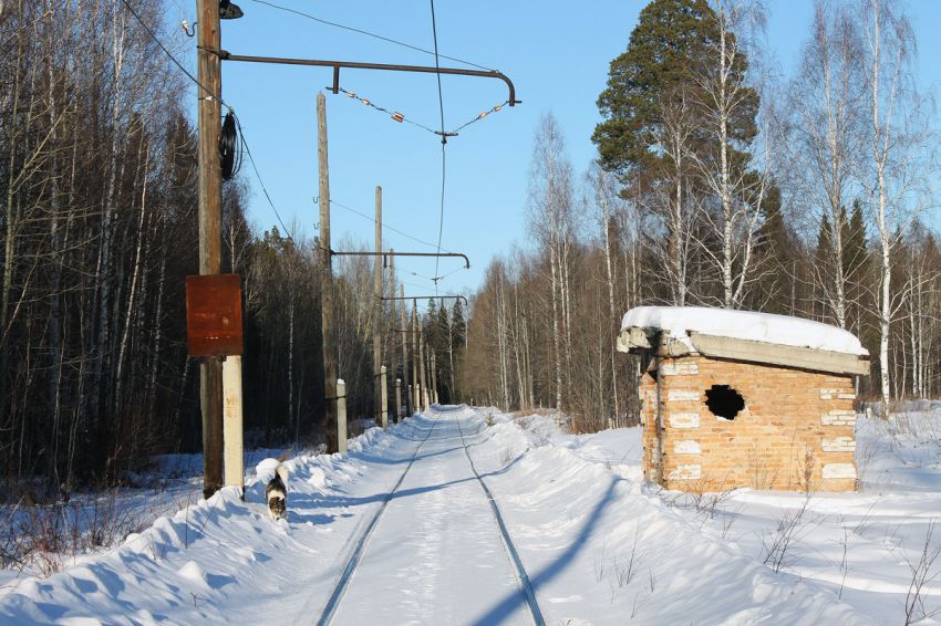 трамвай, Россия, Волчанск