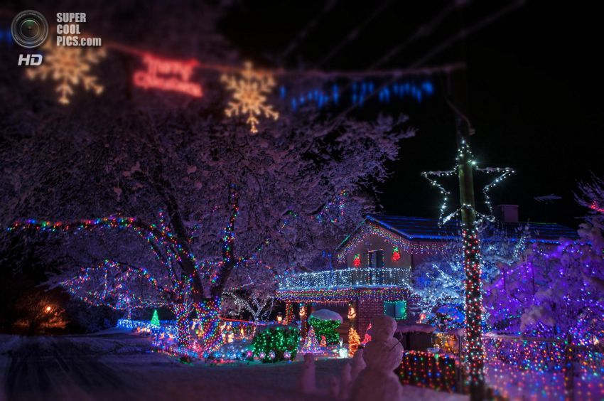 Праздник, Фото, Красиво