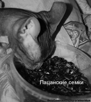Вот такой вот у нас подкидыш