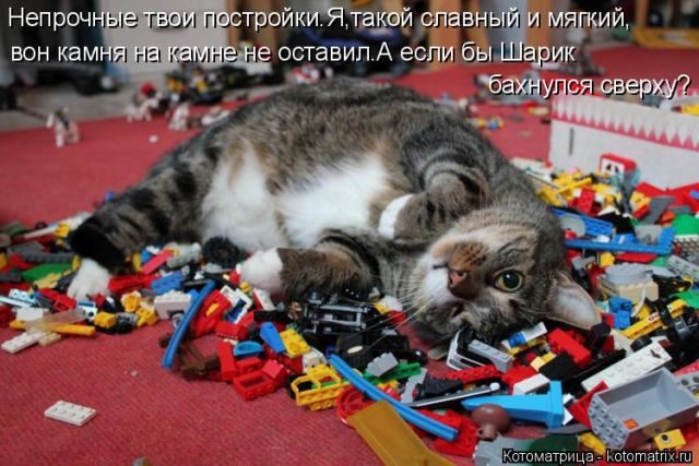 Лучшие котоматрицы за прошедшую неделю)) Лучшие котоматрицы за прошедшую неделю))