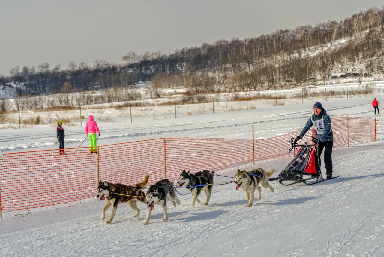«Снежный драйв Сахалина-2019» выявил сильнейших в ездовом спорте