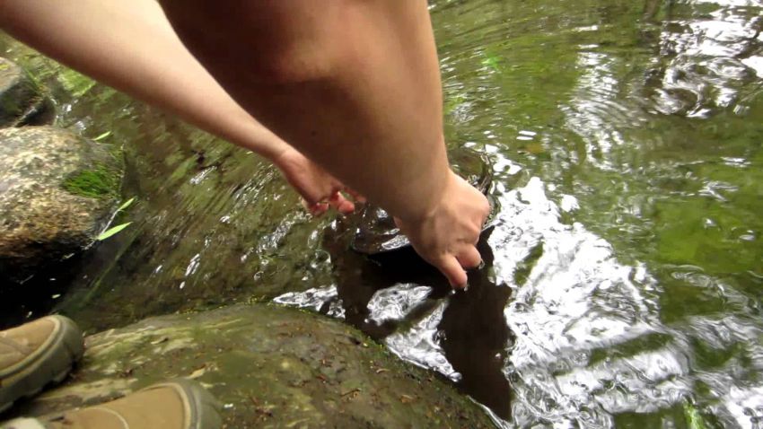 Раки, рыбалка, рецепт, блюдо, кухня