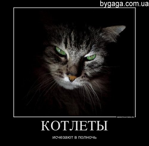 Взялся бы за ум, но времени нет — еле успеваю глупости делать