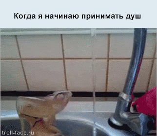 Жизненные ситуации в прикольных картинках. Часть 7 (13 гифок) Жизненные ситуации в прикольных картинках. Часть 7 (13 гифок)