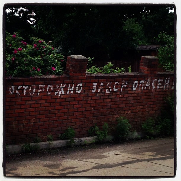 Отхватить можно даже от забора Отхватить можно даже от забора WTF?, бетонные джунгли, в городе, город, необычно, опасное место, опасность, прикол