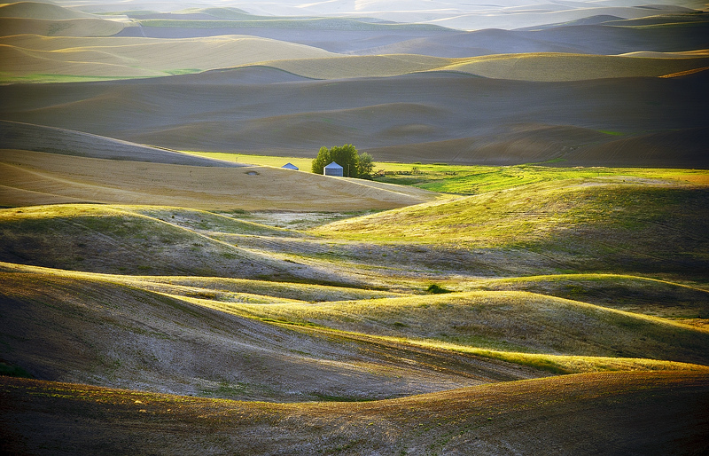 Palouse 8   
