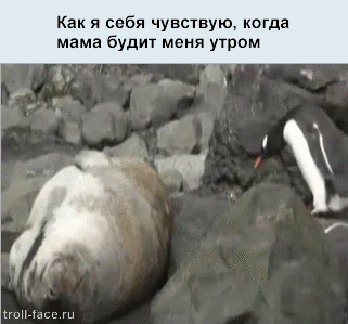 Жизненные ситуации в прикольных картинках. Часть 7 (13 гифок) Жизненные ситуации в прикольных картинках. Часть 7 (13 гифок)
