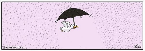 Карикатуры для хорошего настроения Карикатуры для хорошего настроения