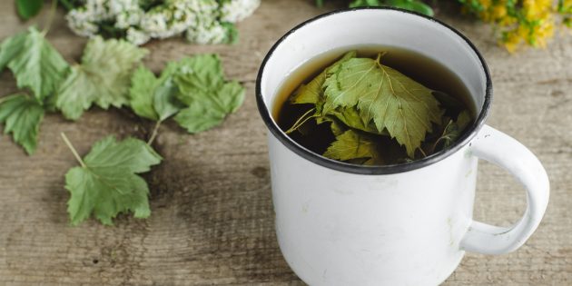 Настой из сушёных листьев смородины Настой из сушёных листьев смородины
