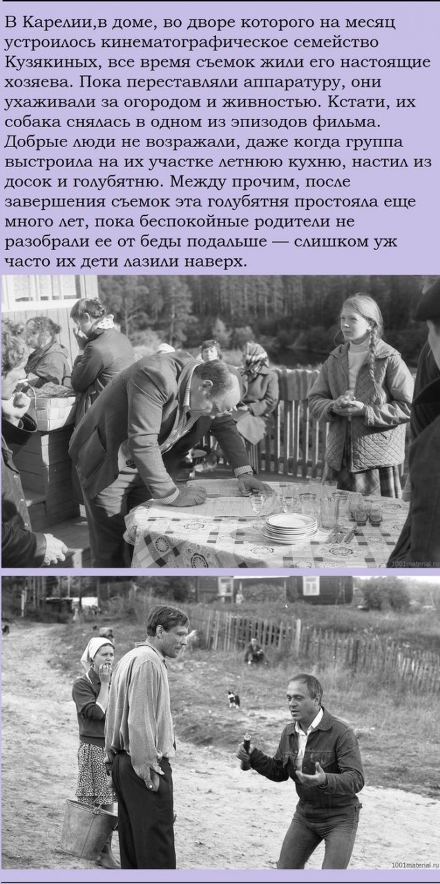 Факты о кинофильме "Любовь и голуби" (15 фото) Факты о кинофильме "Любовь и голуби" (15 фото)