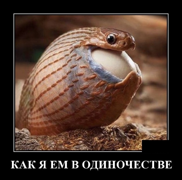 Демотиваторы Демотиваторы