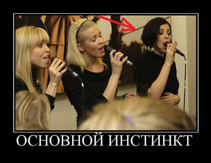 Взялся бы за ум, но времени нет — еле успеваю глупости делать