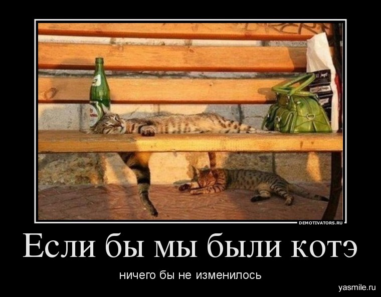 Новые демотиваторы на 06.04.2012.