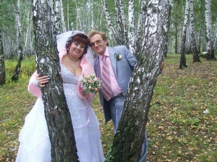 Совет да любовь! Совет да любовь!