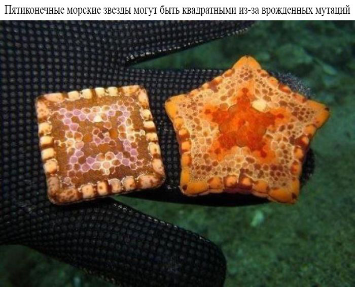 Неизвестная сторона знакомых вещей в фотографиях