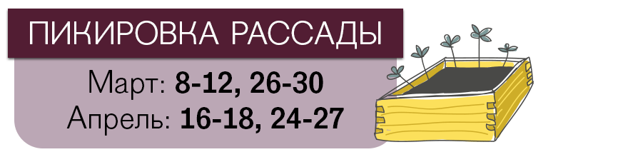 Лунный календарь посева помидоров на 2018 год Лунный календарь посева помидоров на 2018 год