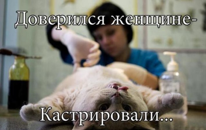 15 наглядных примеров до чего доводит женщина 15 наглядных примеров до чего доводит женщина