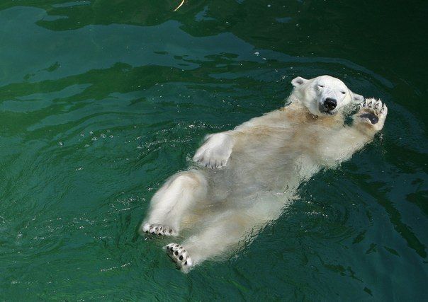 Больше, чем просто фото (50 фото)