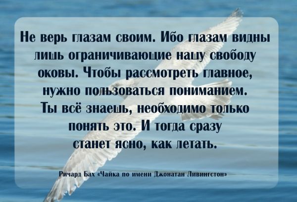 Что писал о Тартарии Н.Витсен.