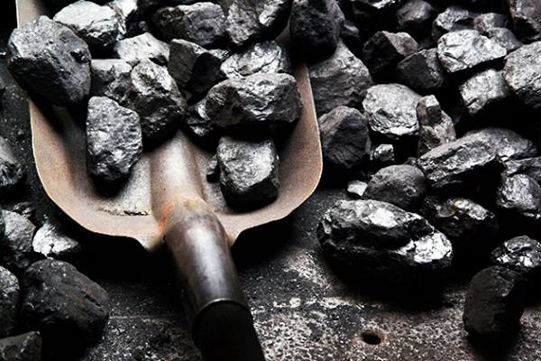 В Красносулинском районе кто-то украл 30 тонн угля, предназначенные для отопления ФАПов