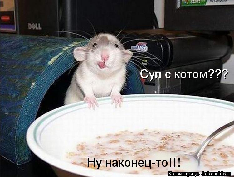 Суп с котом??? Ну наконец-то!!!... Суп с котом??? Ну наконец-то!!!