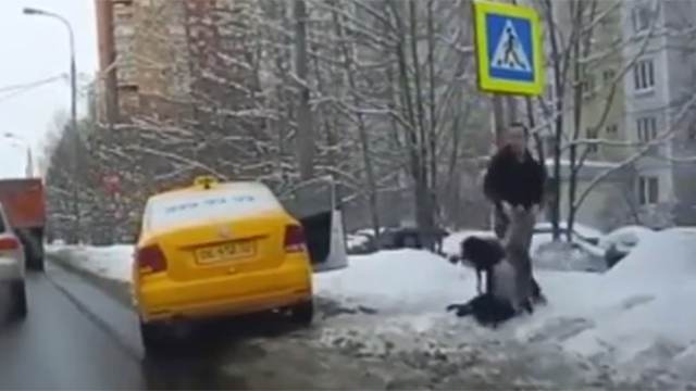 Видео: таксист напал на пассажирку и силой затолкал ее в машину в Москве