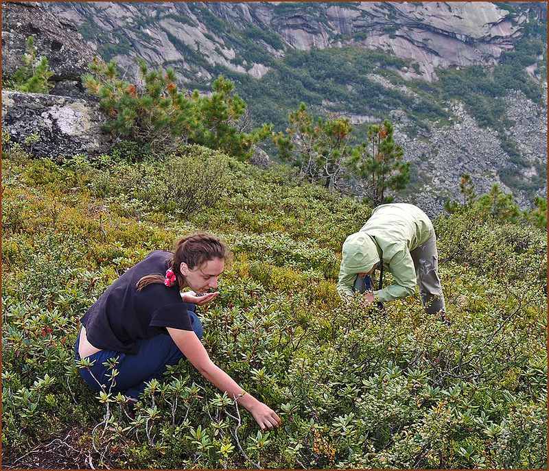 Путешествие по Ергакам Автор фотографий - Михаил фото