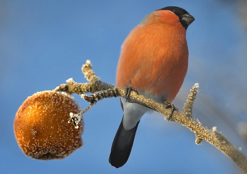 �� ������� �������...