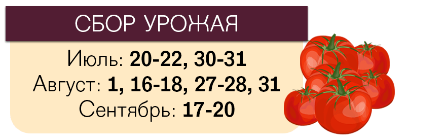 Лунный календарь посева помидоров на 2018 год Лунный календарь посева помидоров на 2018 год