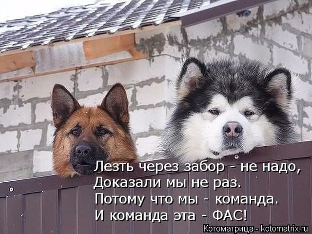 Лучшие котоматрицы за прошедшую неделю)) Лучшие котоматрицы за прошедшую неделю))