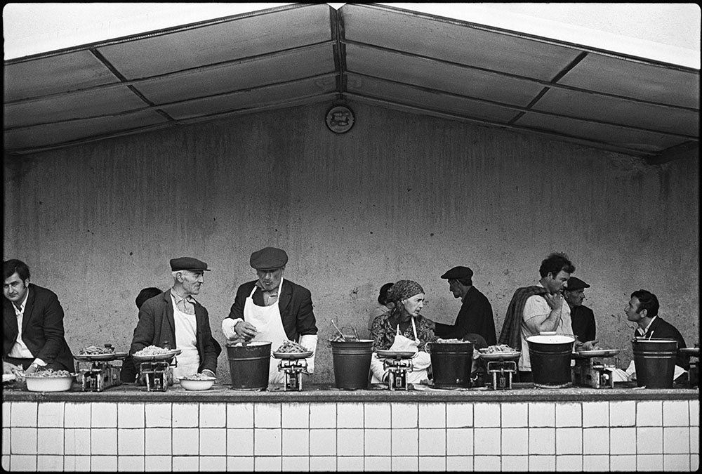 Фотограф Владимир Сычёв 59