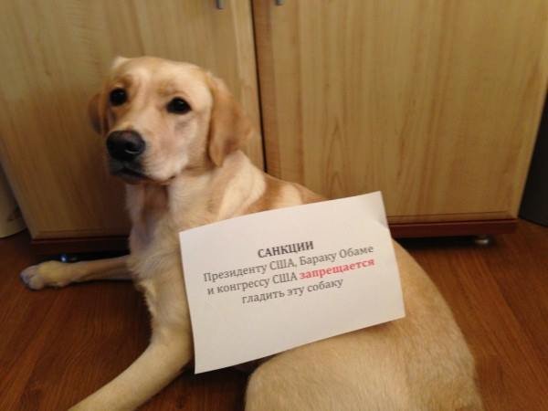 Россияне обложили Обаму... санкциями Россияне обложили Обаму... санкциями