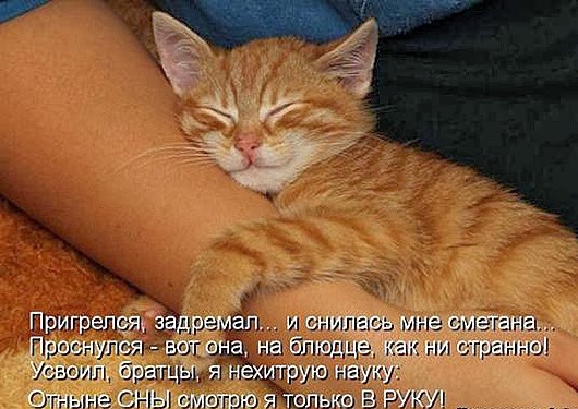 9597ec31808482c1d84aaef7fc7_prev 9597ec31808482c1d84aaef7fc7_prev