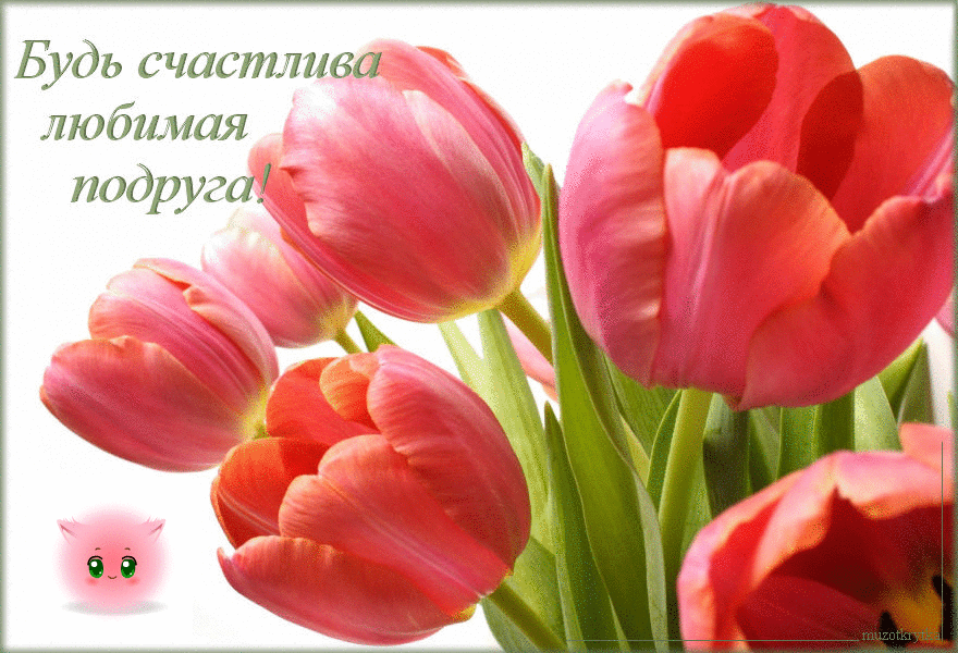 ПОЗДРАВЛЯЮ ВАС С НАШИМ ПРАЗДНИКОМ, ДОРОГИЕ ПОДРУГИ!