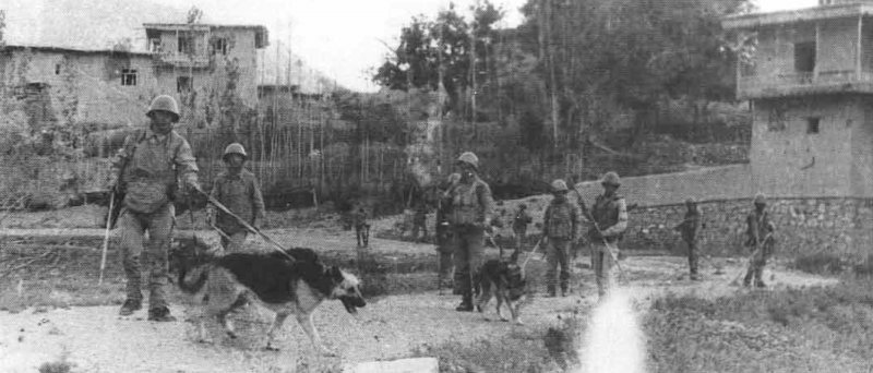 Саперы Афгана Саперы Афгана