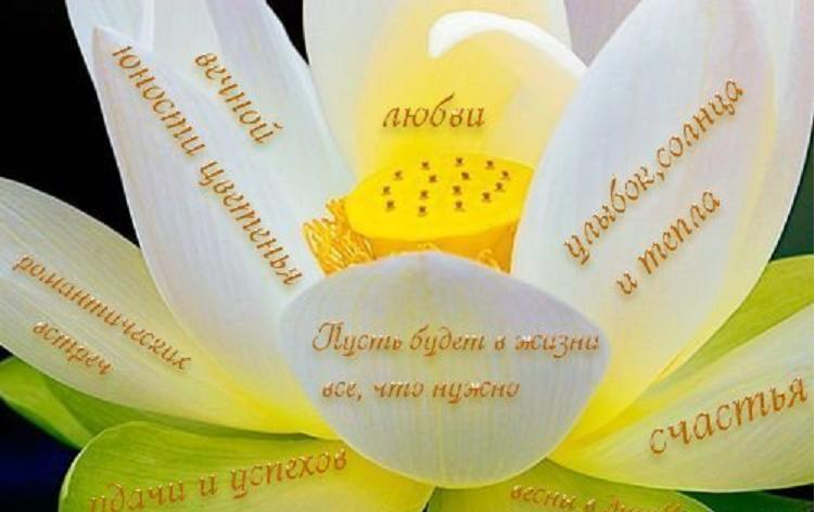 Цветы жизни поздравления Цветы жизни поздравления