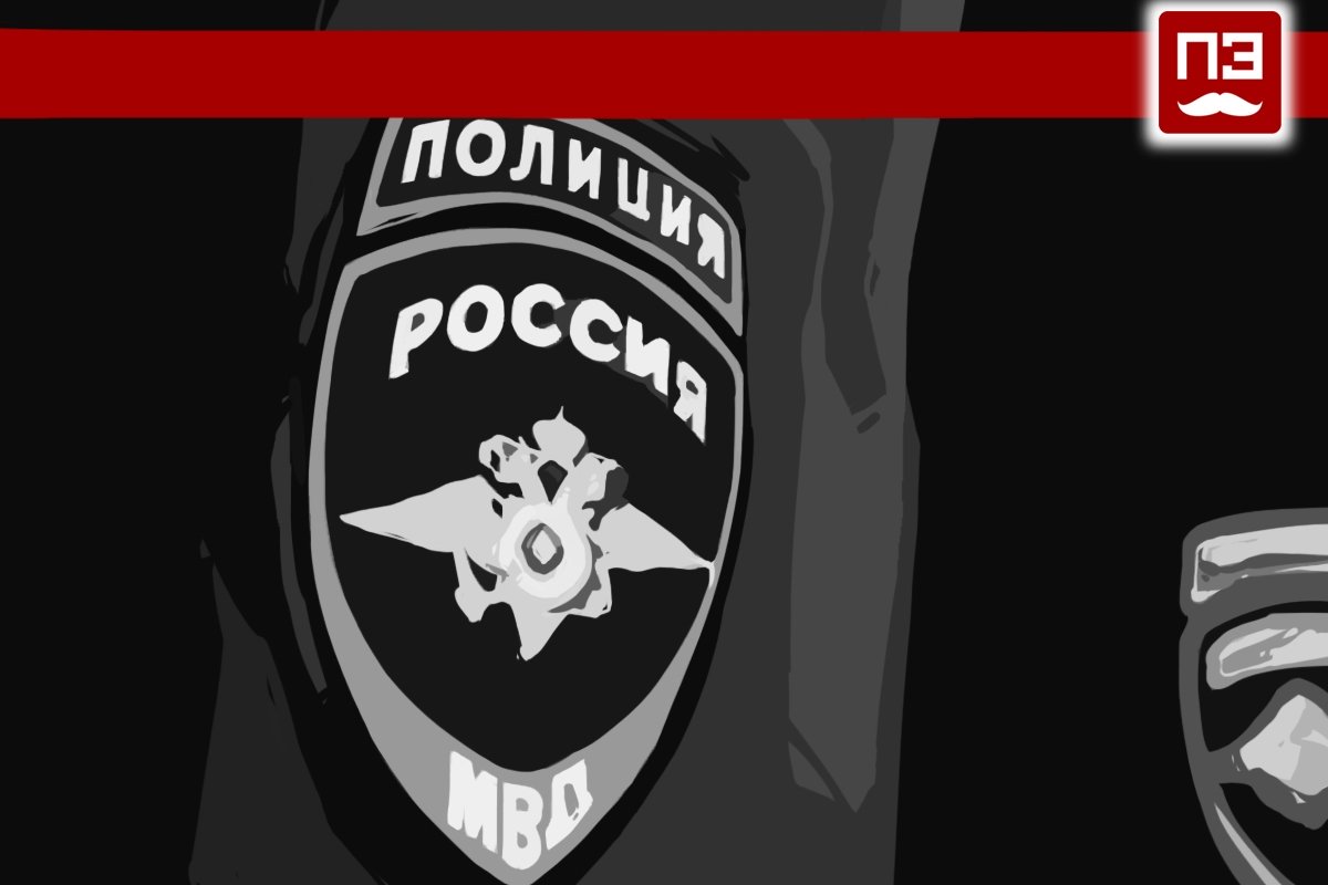 Во Владимирской области задержали пенсионера по подозрению в покушении с гвоздодером