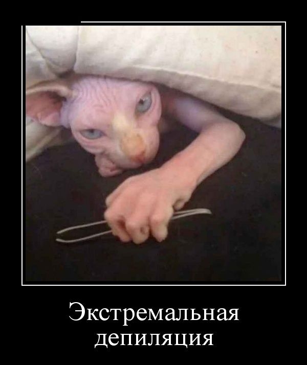 Демотиваторы Демотиваторы