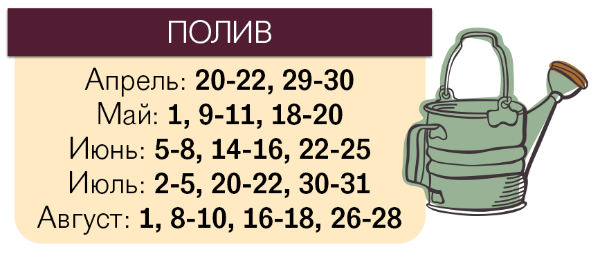 Лунный календарь посева помидоров на 2018 год Лунный календарь посева помидоров на 2018 год
