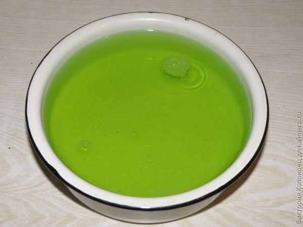 Желейный тортик из киви и сметаны без выпечки